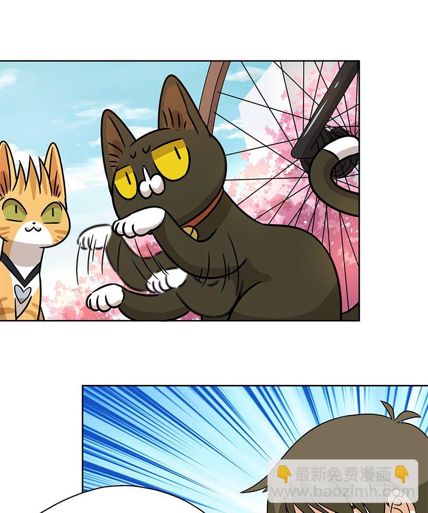 《回到过去变成猫外传》第89爪 祸水东引（下） 第19页