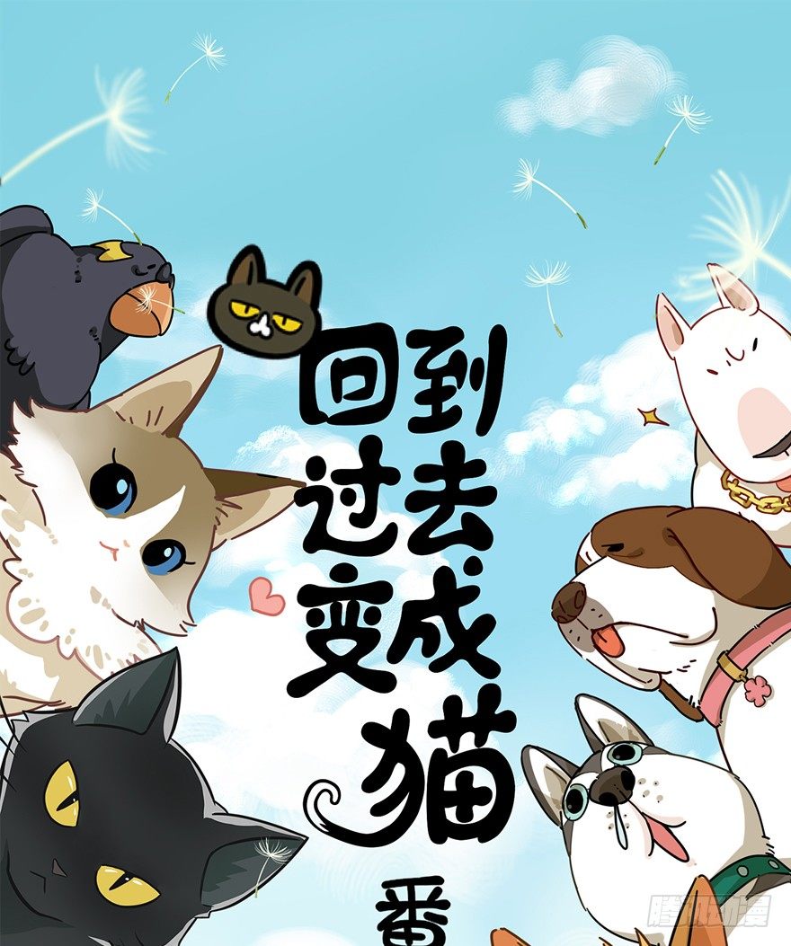 《回到过去变成猫外传》第89爪 祸水东引（下） 第1页