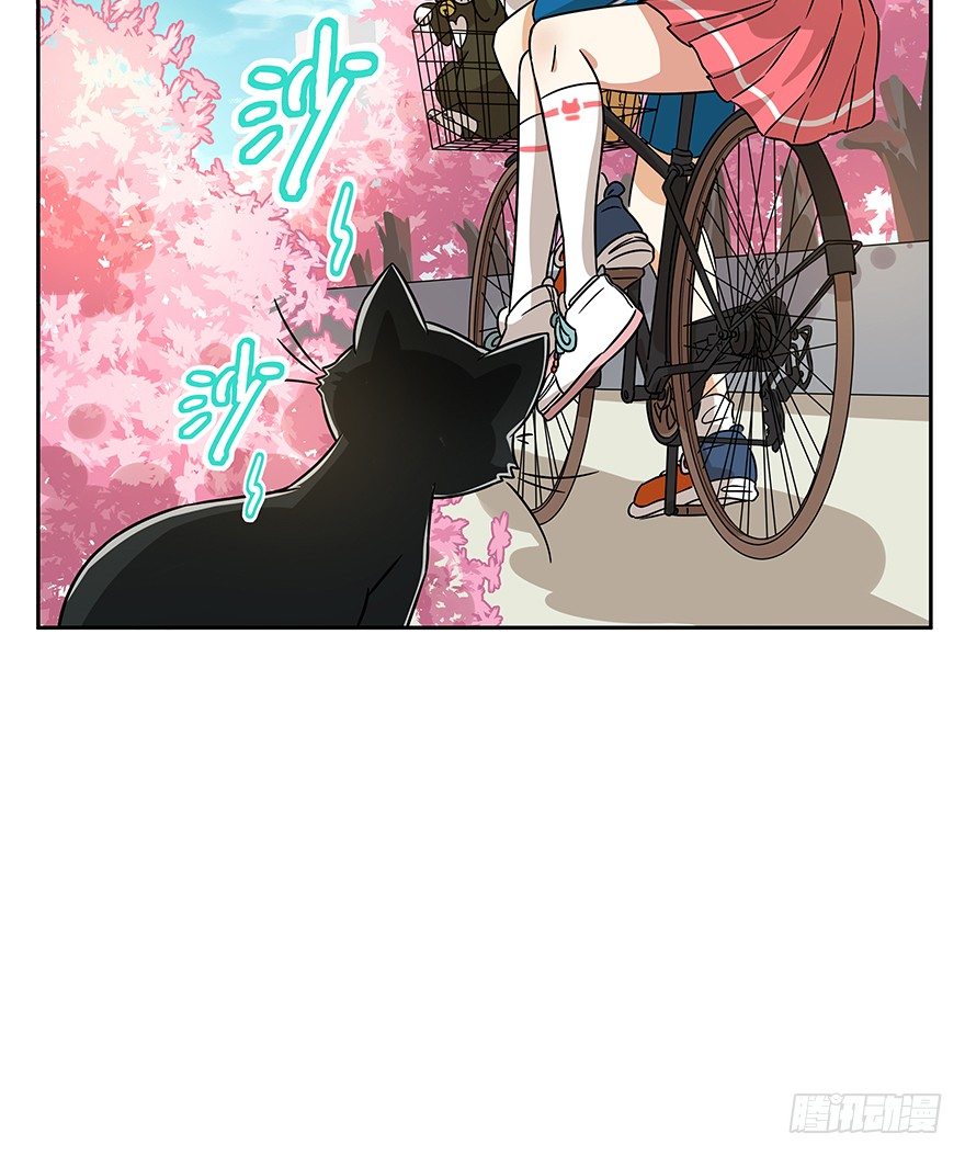 《回到过去变成猫外传》第89爪 祸水东引（下） 第24页