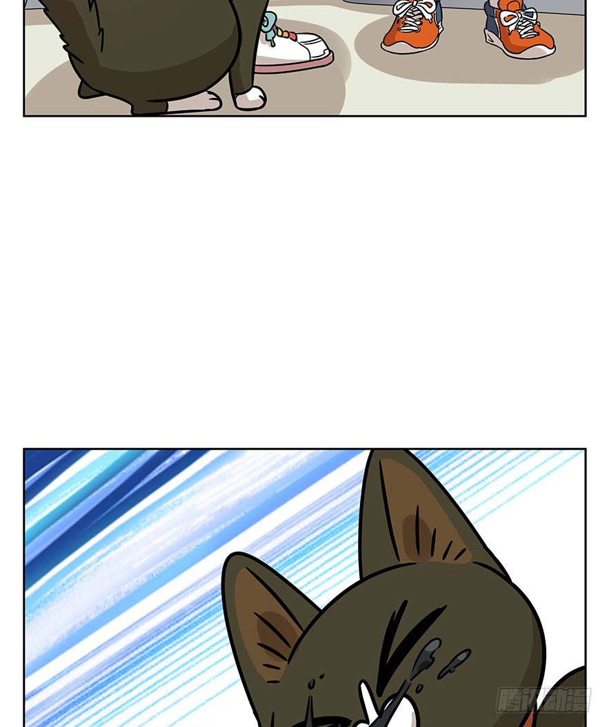 《回到过去变成猫外传》第89爪 祸水东引（下） 第5页