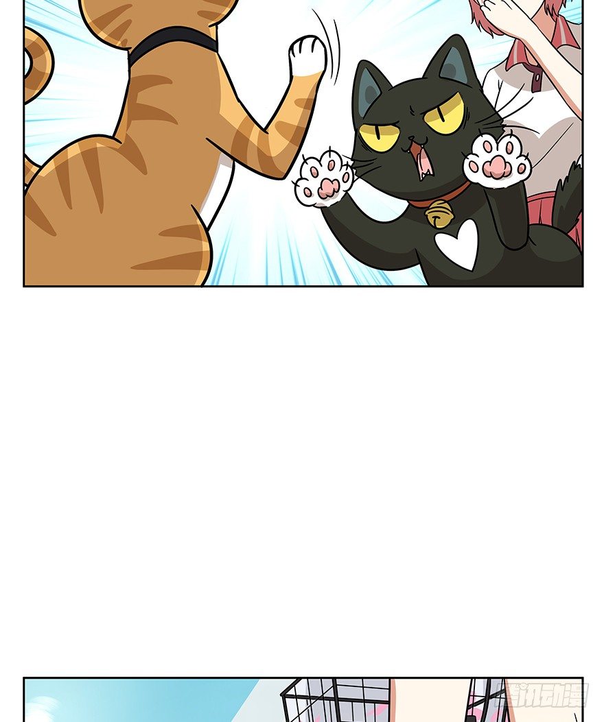 《回到过去变成猫外传》第89爪 祸水东引（下） 第7页