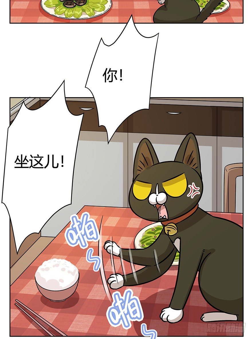 《回到过去变成猫外传》第90爪 翻脸不认猫（上） 第18页