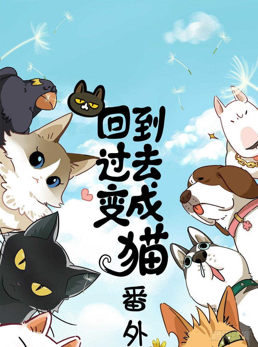 《回到过去变成猫外传》第90爪 翻脸不认猫（上） 第1页