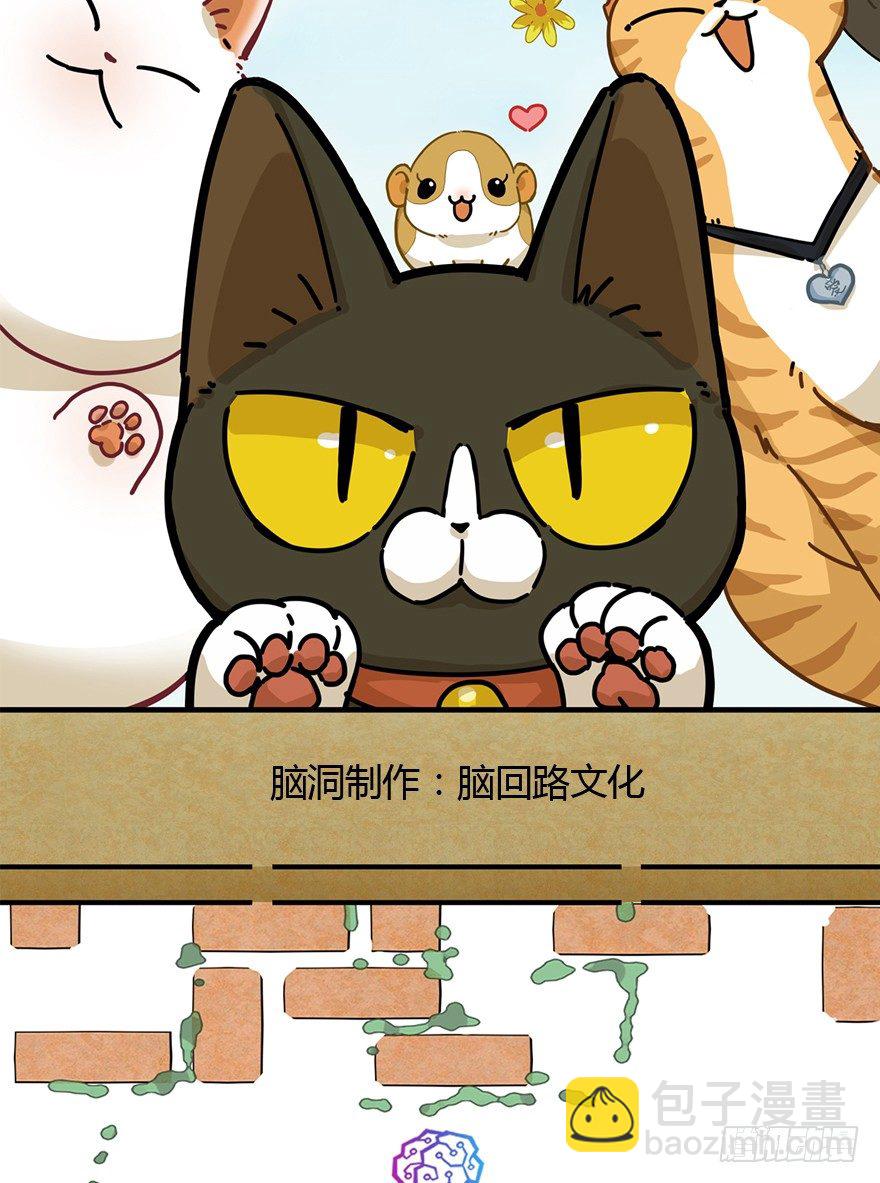 《回到过去变成猫外传》第90爪 翻脸不认猫（上） 第2页