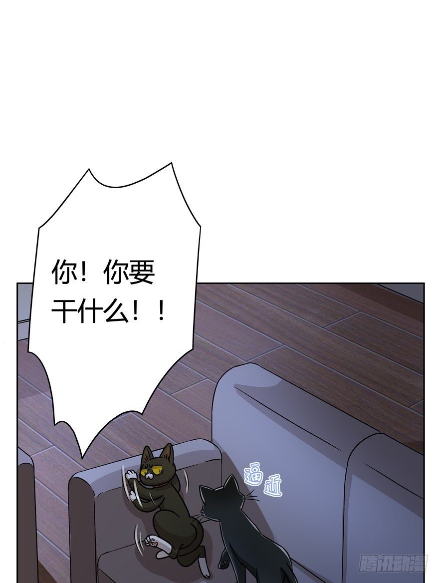 《回到过去变成猫外传》第92爪 黑呦呦的信念 第19页