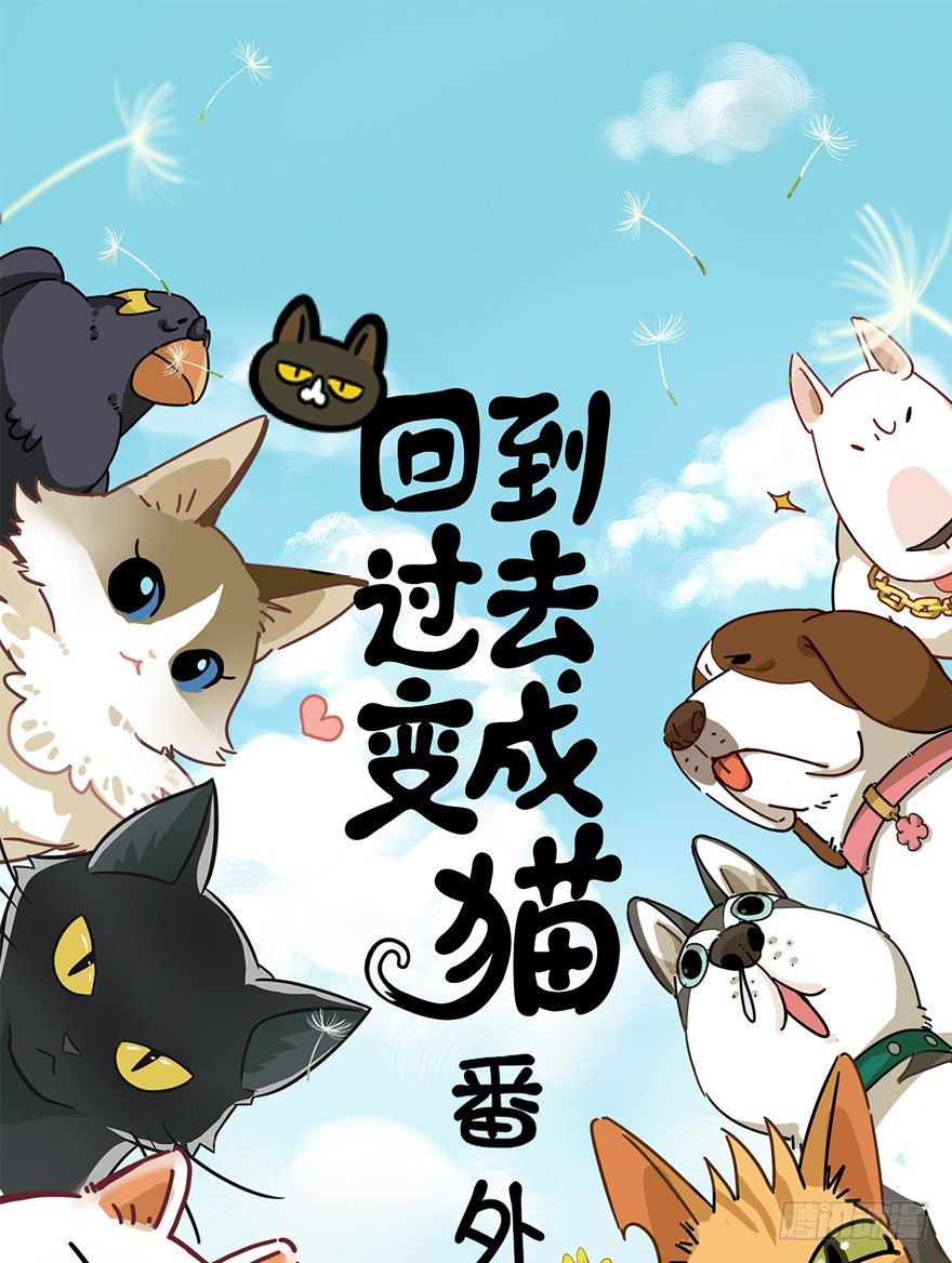 《回到过去变成猫外传》第92爪 黑呦呦的信念 第1页