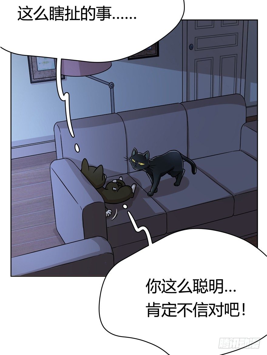 《回到过去变成猫外传》第92爪 黑呦呦的信念 第26页