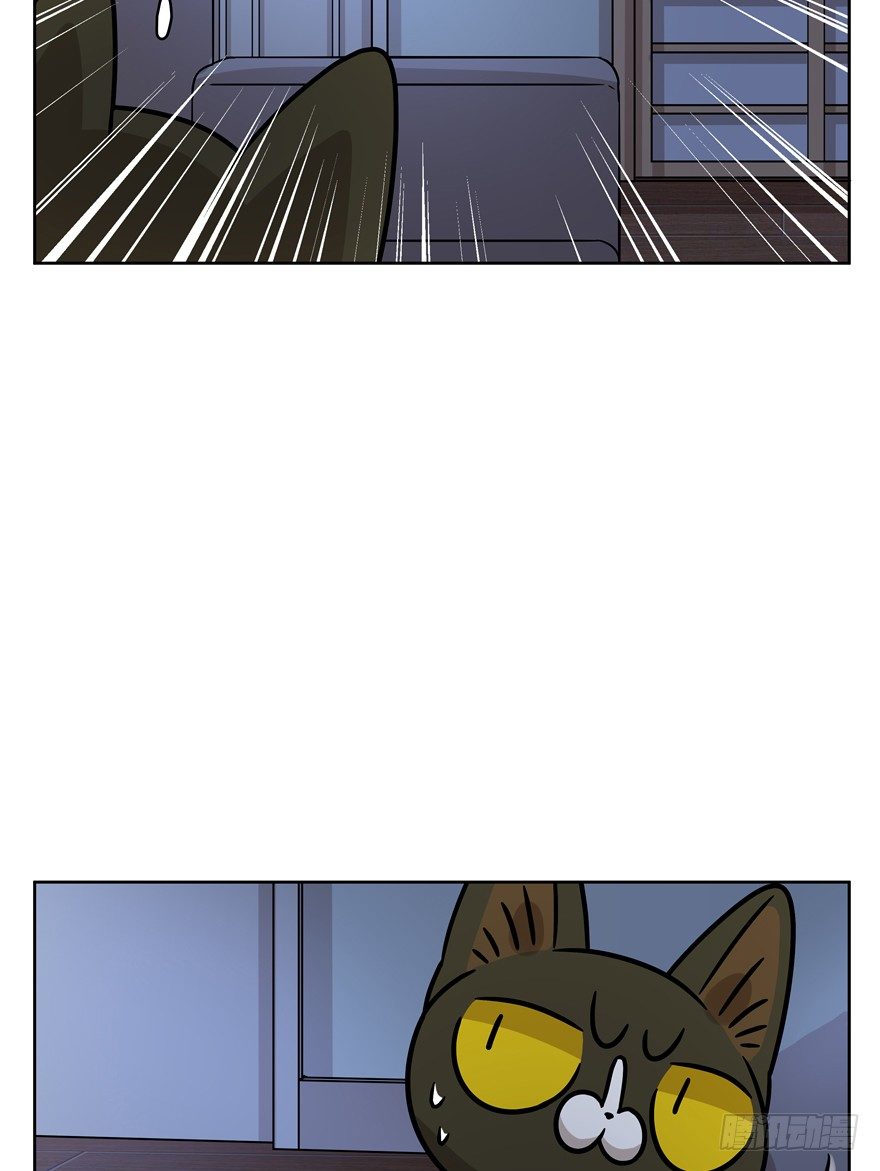 《回到过去变成猫外传》第92爪 黑呦呦的信念 第33页