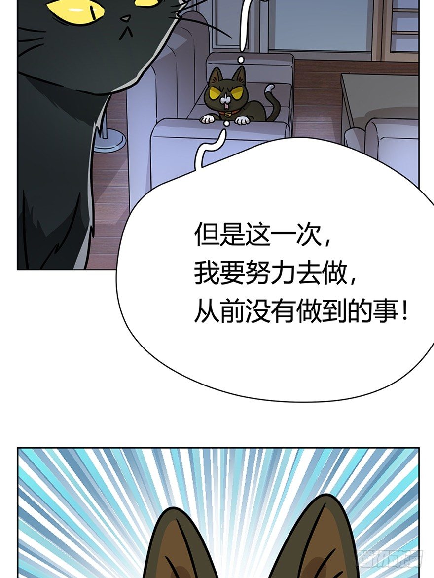 《回到过去变成猫外传》第92爪 黑呦呦的信念 第38页