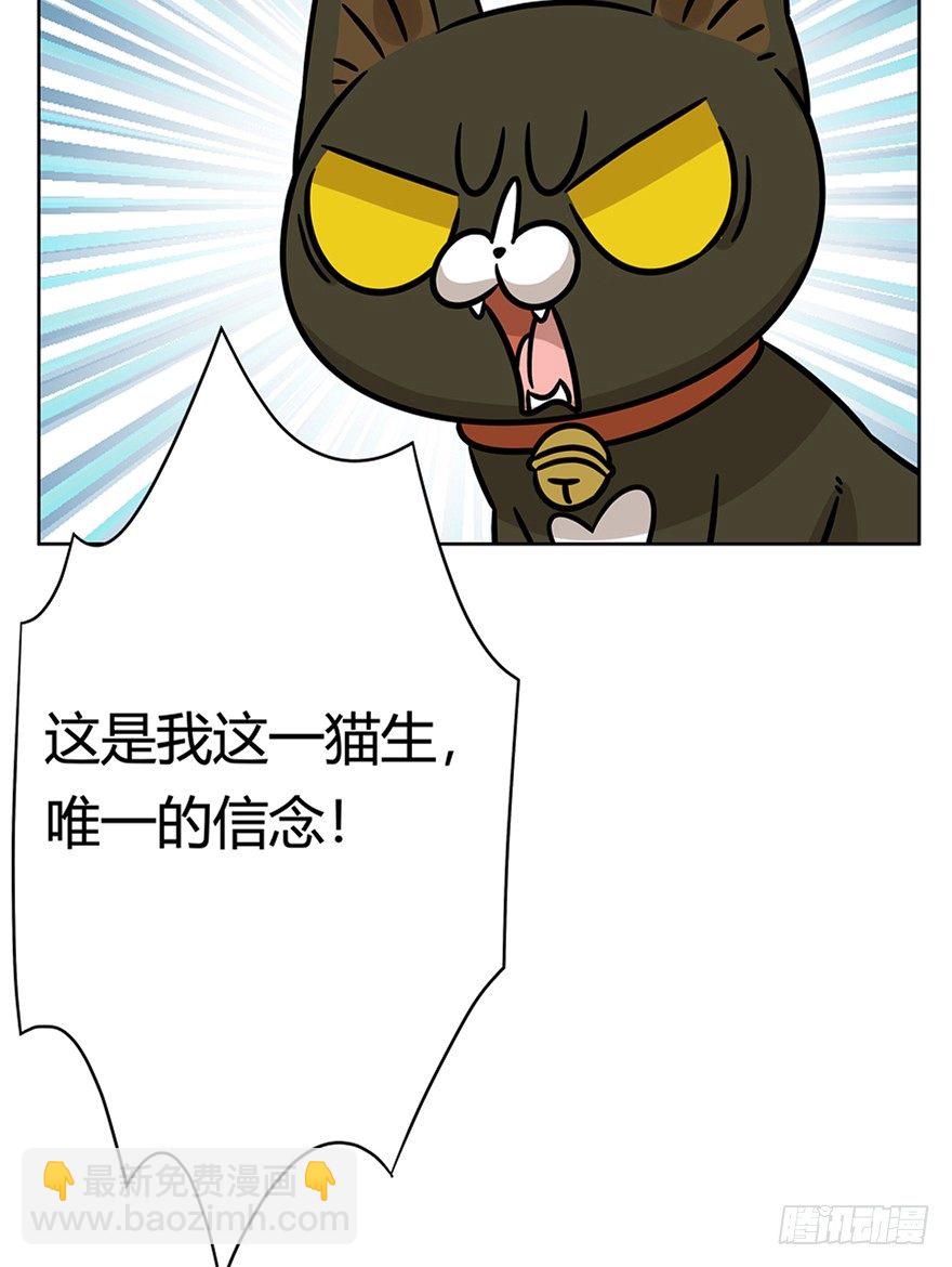 《回到过去变成猫外传》第92爪 黑呦呦的信念 第39页
