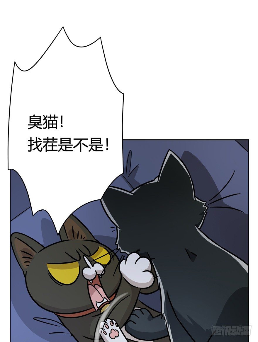 《回到过去变成猫外传》第92爪 黑呦呦的信念 第4页