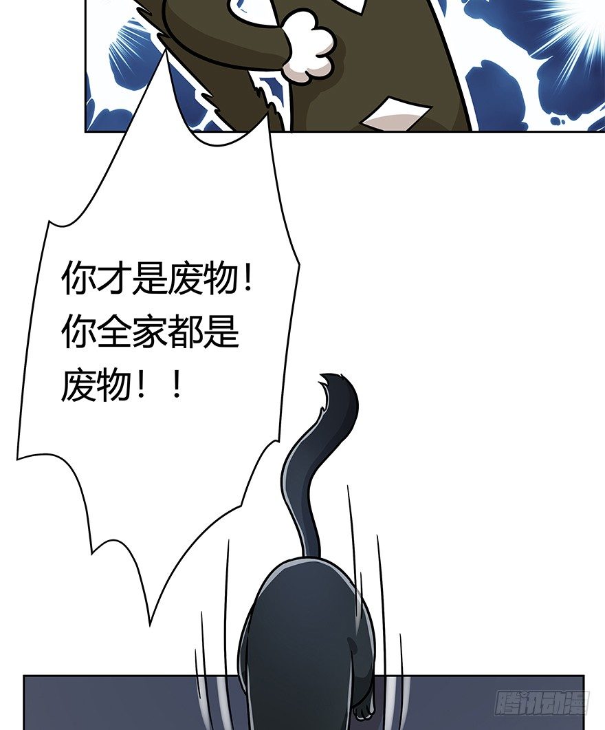 《回到过去变成猫外传》第93爪 针锋相对（上） 第11页