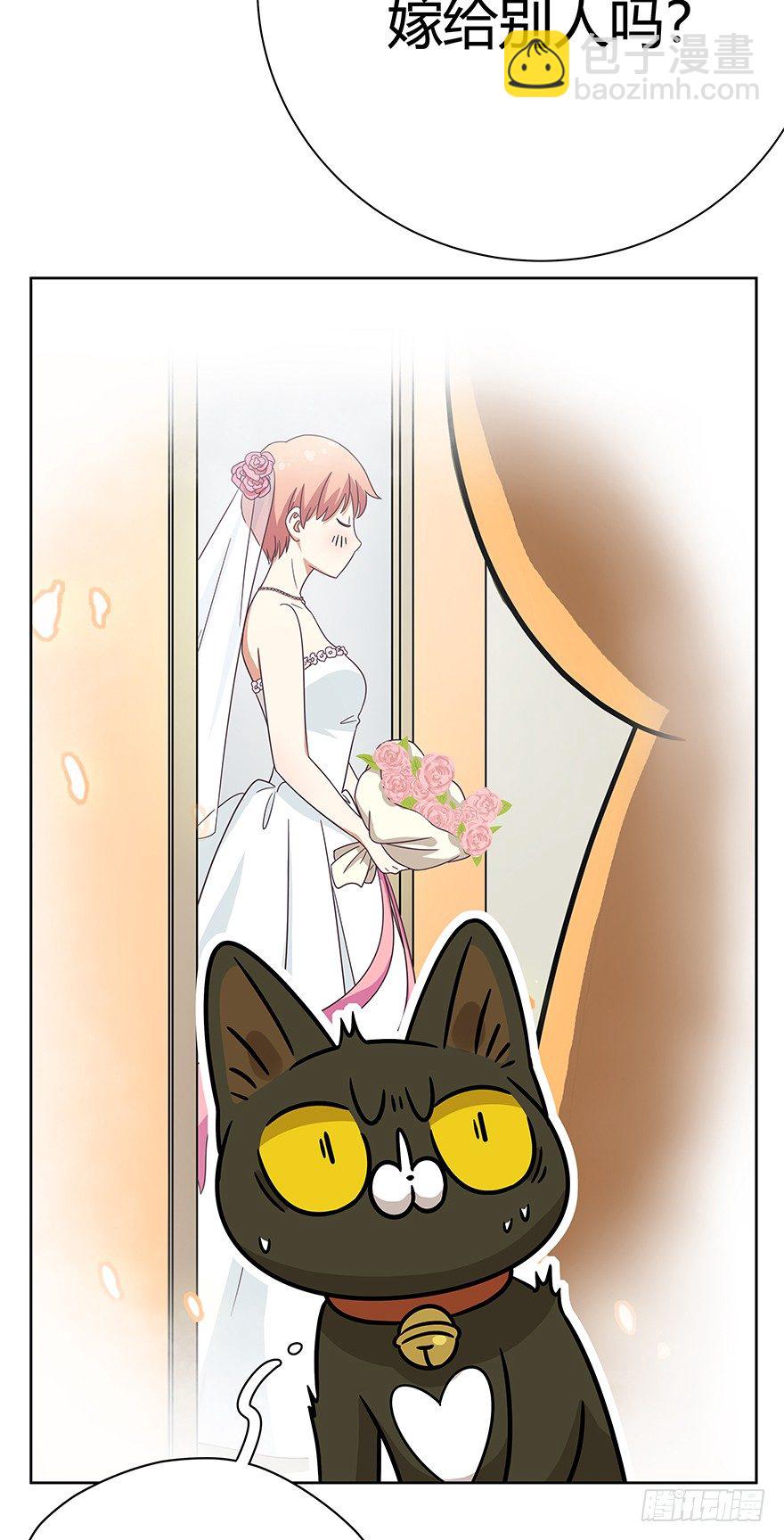 《回到过去变成猫外传》第93爪 针锋相对（上） 第14页