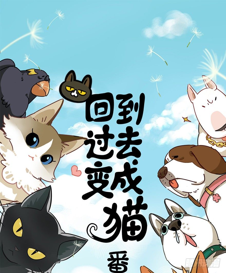 《回到过去变成猫外传》第93爪 针锋相对（上） 第1页