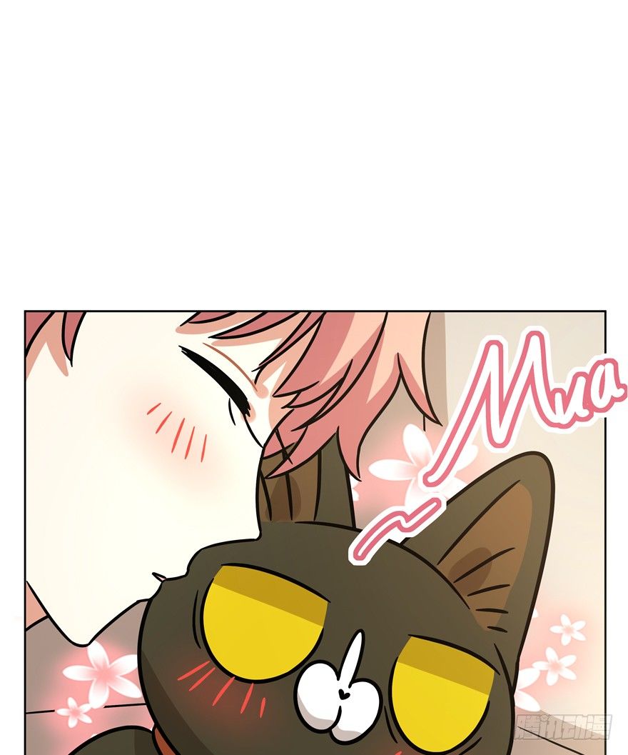 《回到过去变成猫外传》第91爪 翻脸不认猫（下） 第16页