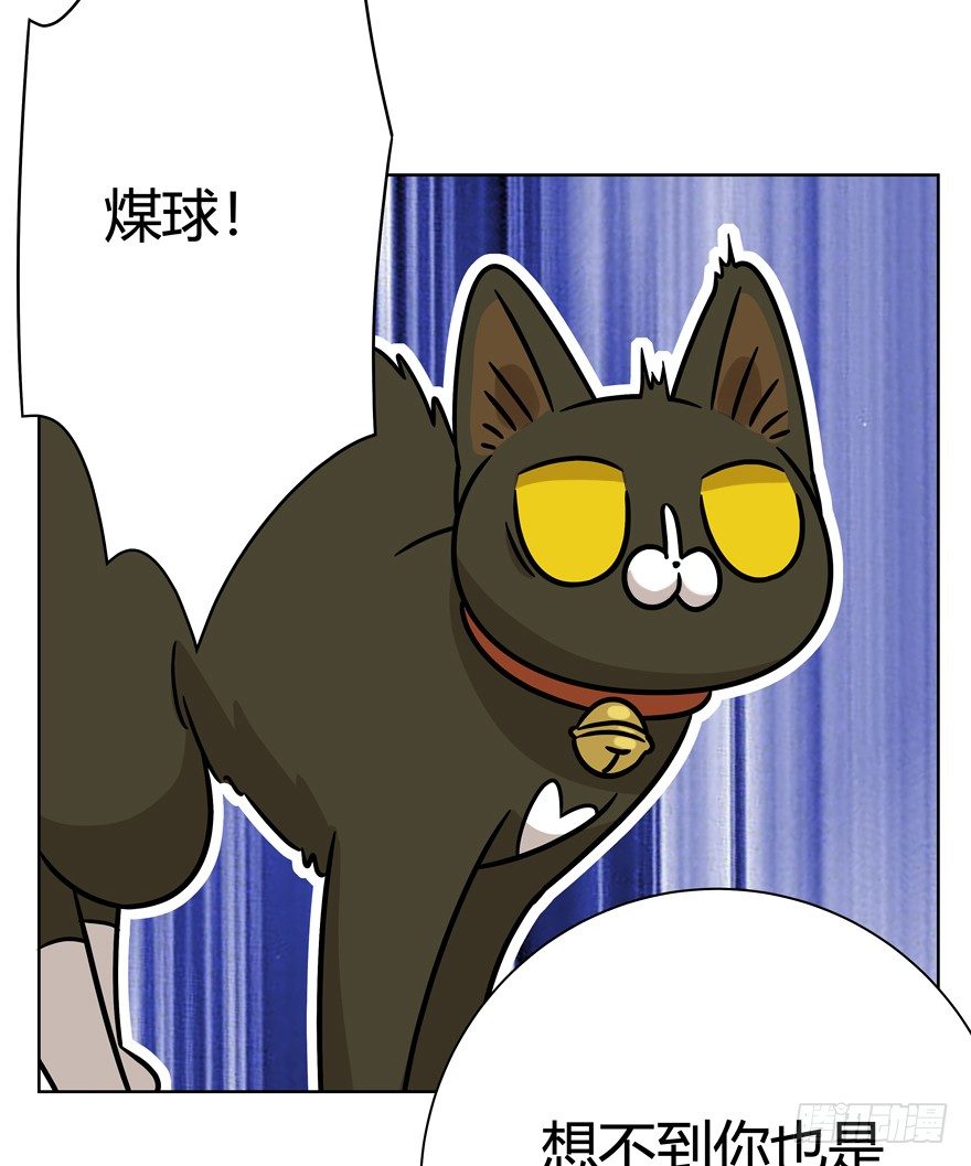 《回到过去变成猫外传》第91爪 翻脸不认猫（下） 第19页
