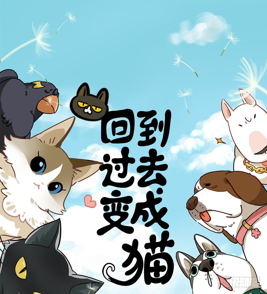 《回到过去变成猫外传》第91爪 翻脸不认猫（下） 第1页