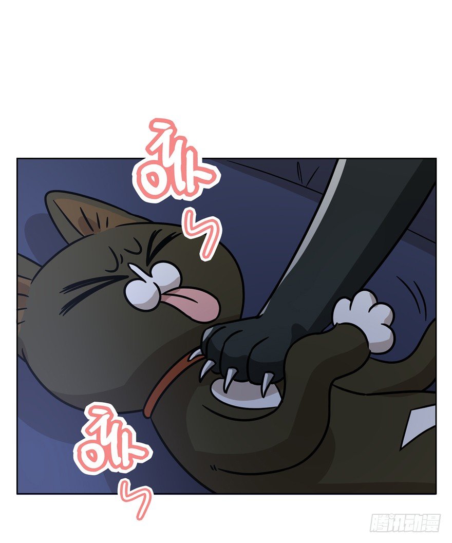 《回到过去变成猫外传》第91爪 翻脸不认猫（下） 第28页