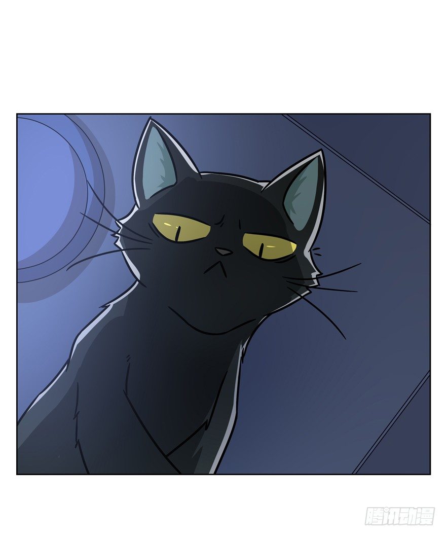 《回到过去变成猫外传》第91爪 翻脸不认猫（下） 第29页