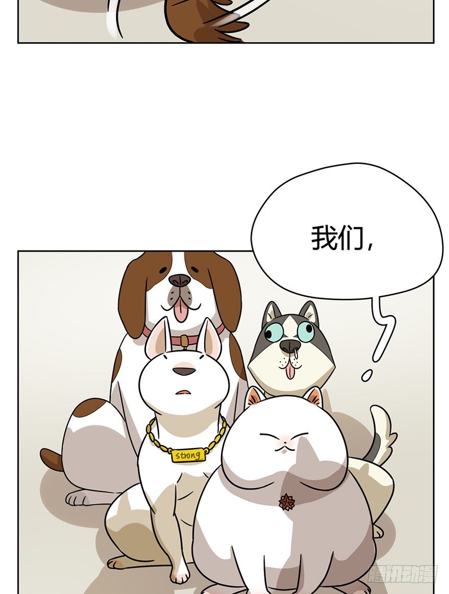 《回到过去变成猫外传》第94爪 针锋相对（下） 第17页