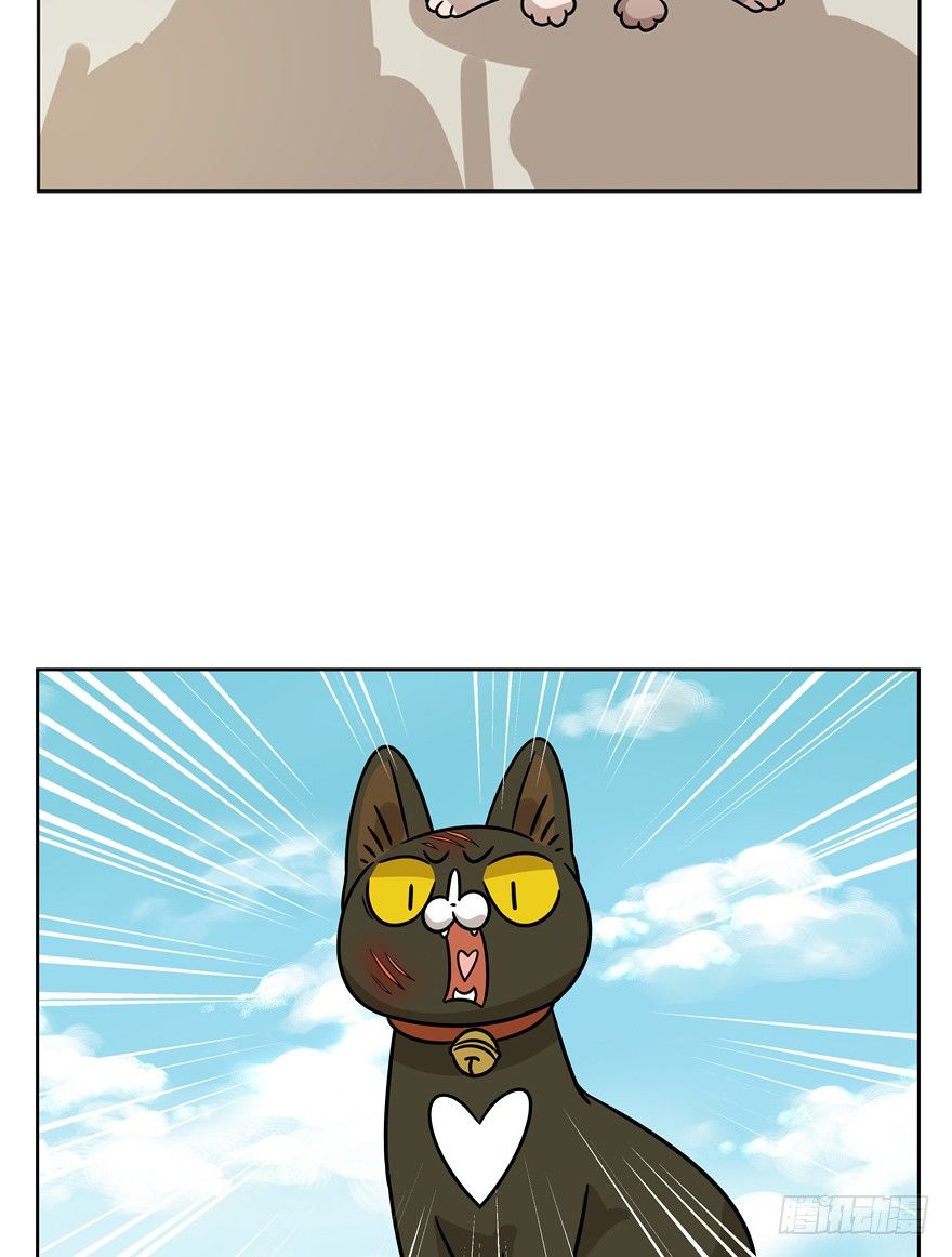 《回到过去变成猫外传》第94爪 针锋相对（下） 第18页