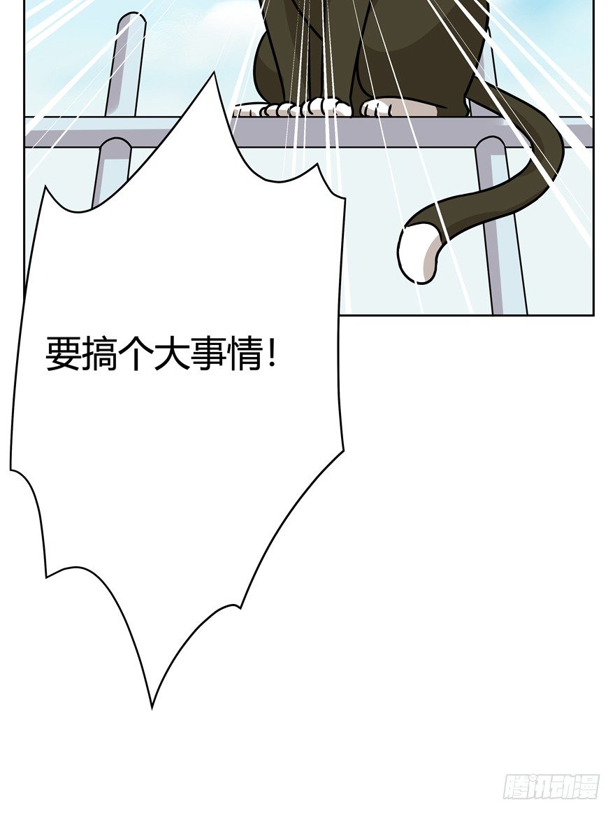 《回到过去变成猫外传》第94爪 针锋相对（下） 第19页