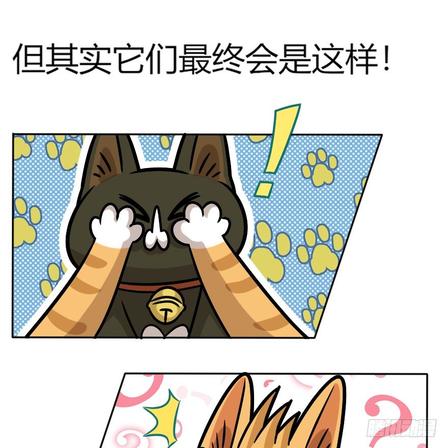 《回到过去变成猫外传》第94爪 针锋相对（下） 第25页