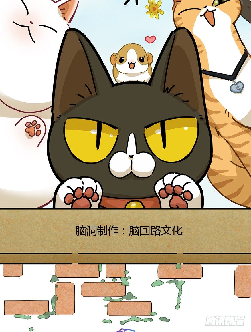 《回到过去变成猫外传》第94爪 针锋相对（下） 第2页