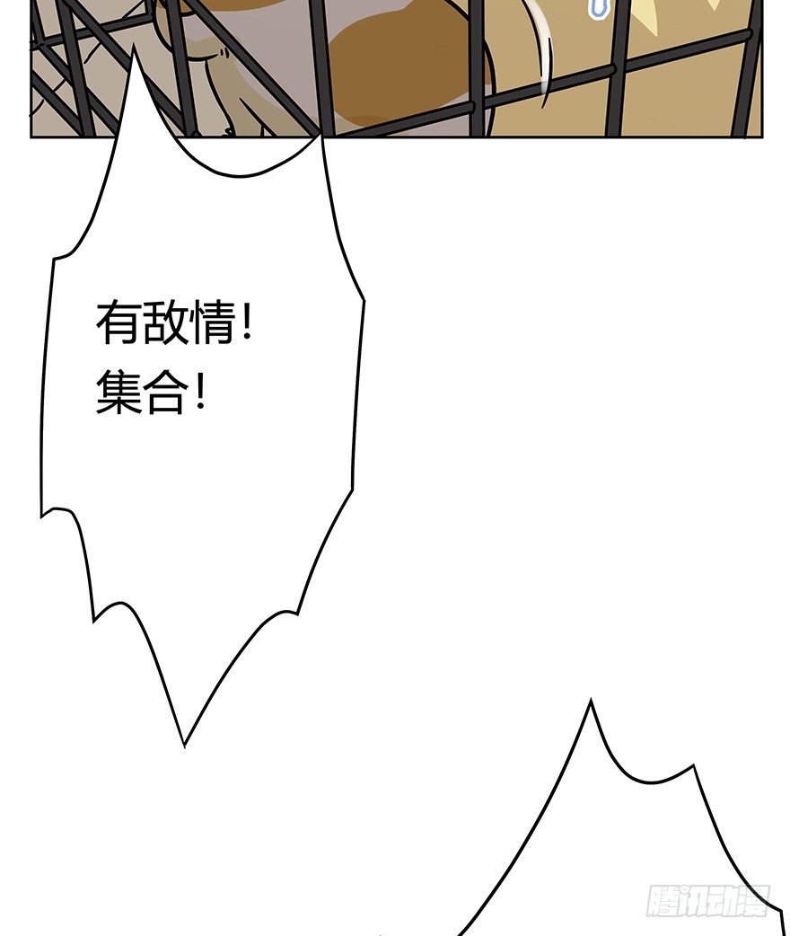 《回到过去变成猫外传》第98爪 告密（下） 第13页