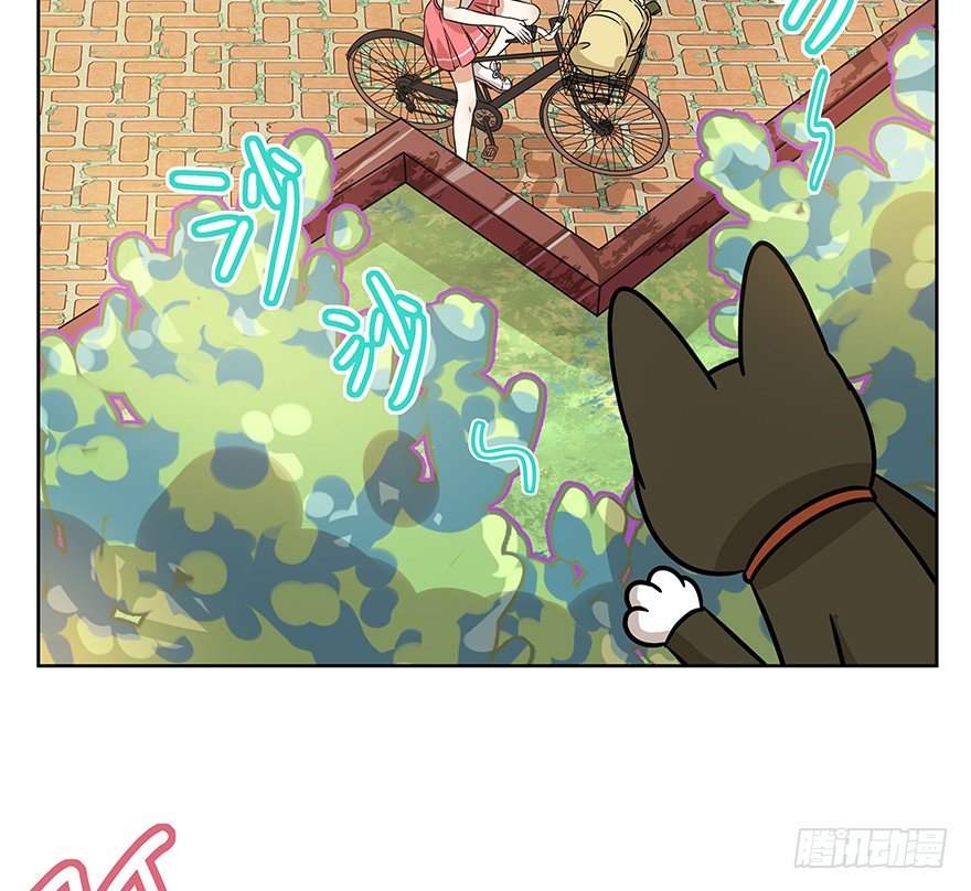《回到过去变成猫外传》第98爪 告密（下） 第20页