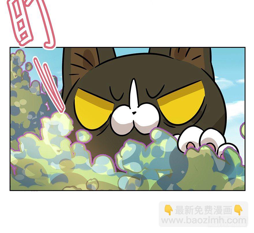 《回到过去变成猫外传》第98爪 告密（下） 第21页