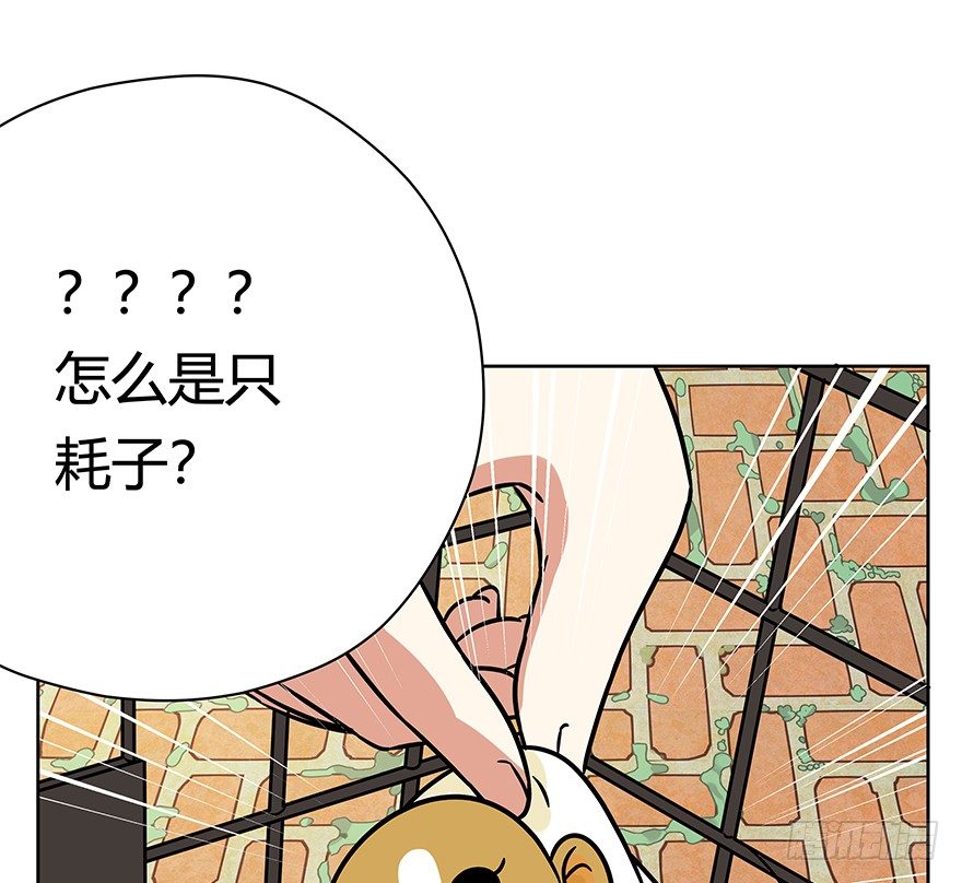 《回到过去变成猫外传》第98爪 告密（下） 第22页