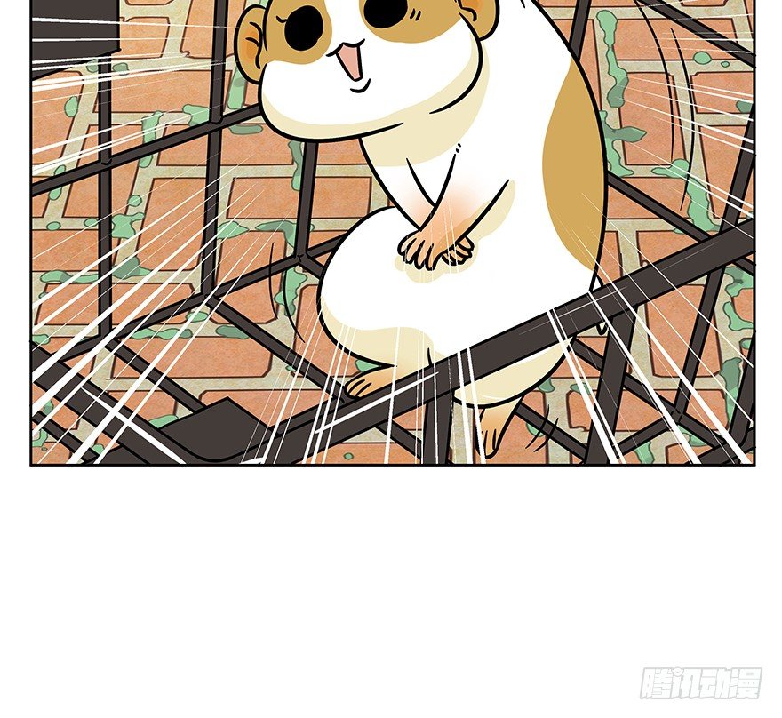 《回到过去变成猫外传》第98爪 告密（下） 第23页