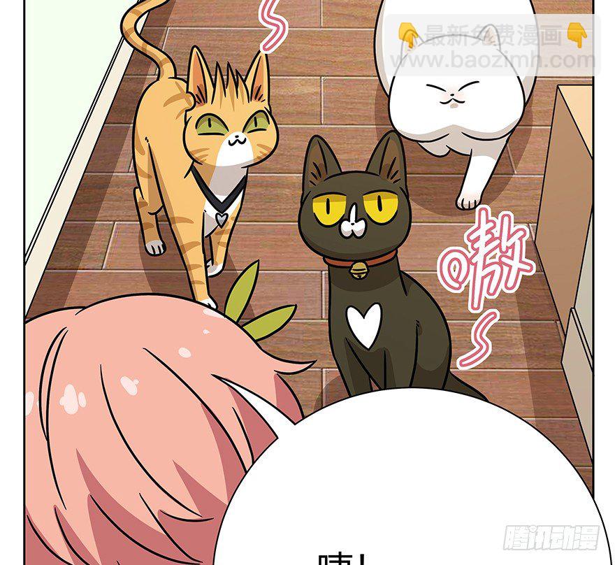 《回到过去变成猫外传》第98爪 告密（下） 第27页