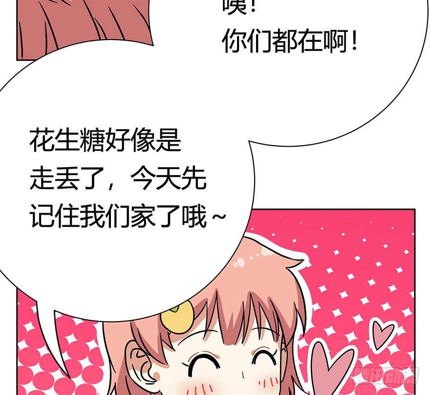 《回到过去变成猫外传》第98爪 告密（下） 第28页