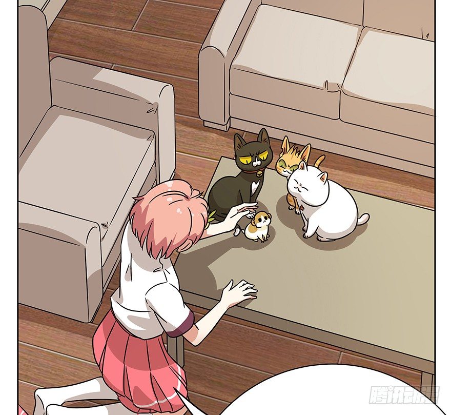 《回到过去变成猫外传》第98爪 告密（下） 第30页