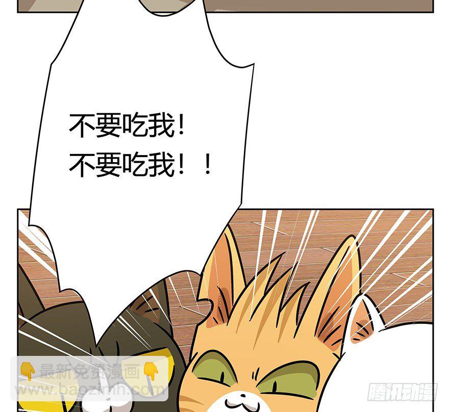 《回到过去变成猫外传》第98爪 告密（下） 第33页