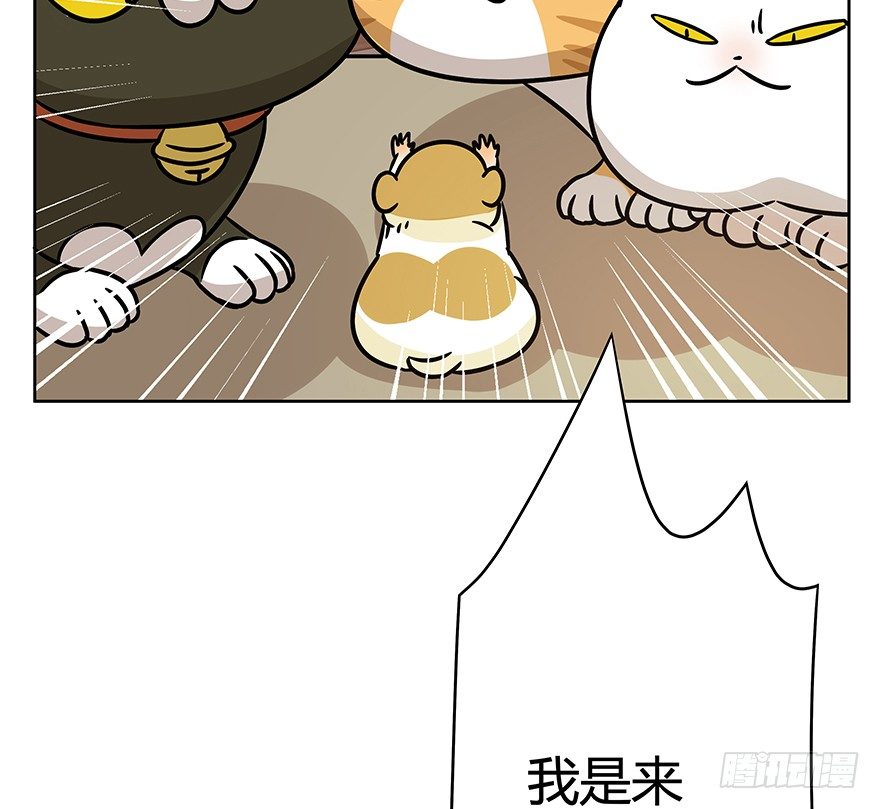 《回到过去变成猫外传》第98爪 告密（下） 第34页