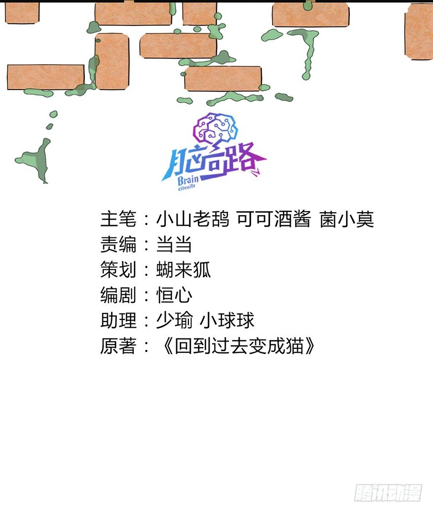 《回到过去变成猫外传》第98爪 告密（下） 第3页