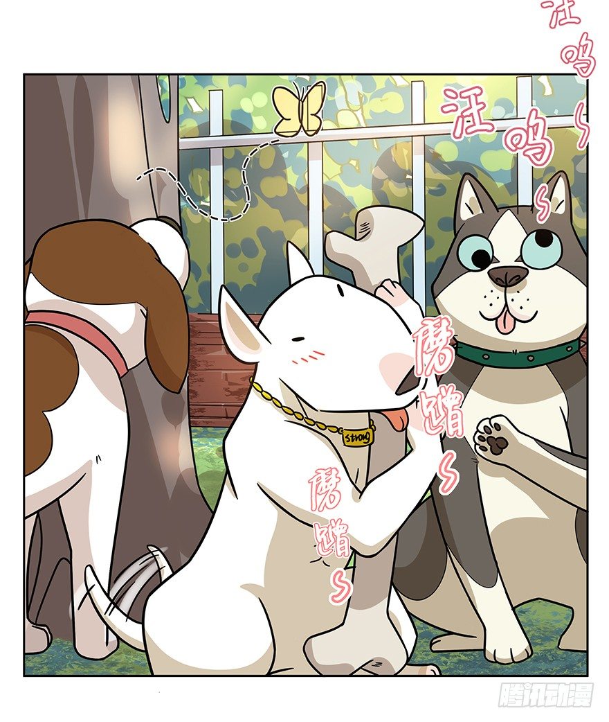 《回到过去变成猫外传》第98爪 告密（下） 第5页