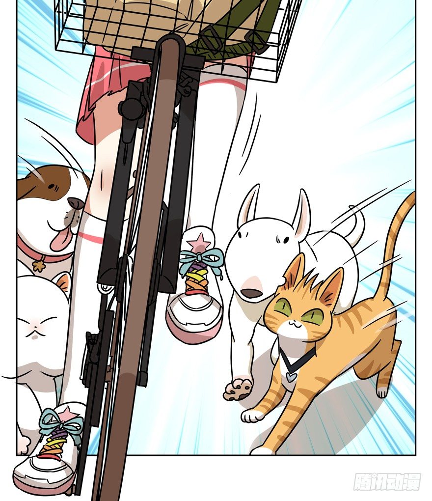 《回到过去变成猫外传》第97爪 告密（上） 第13页