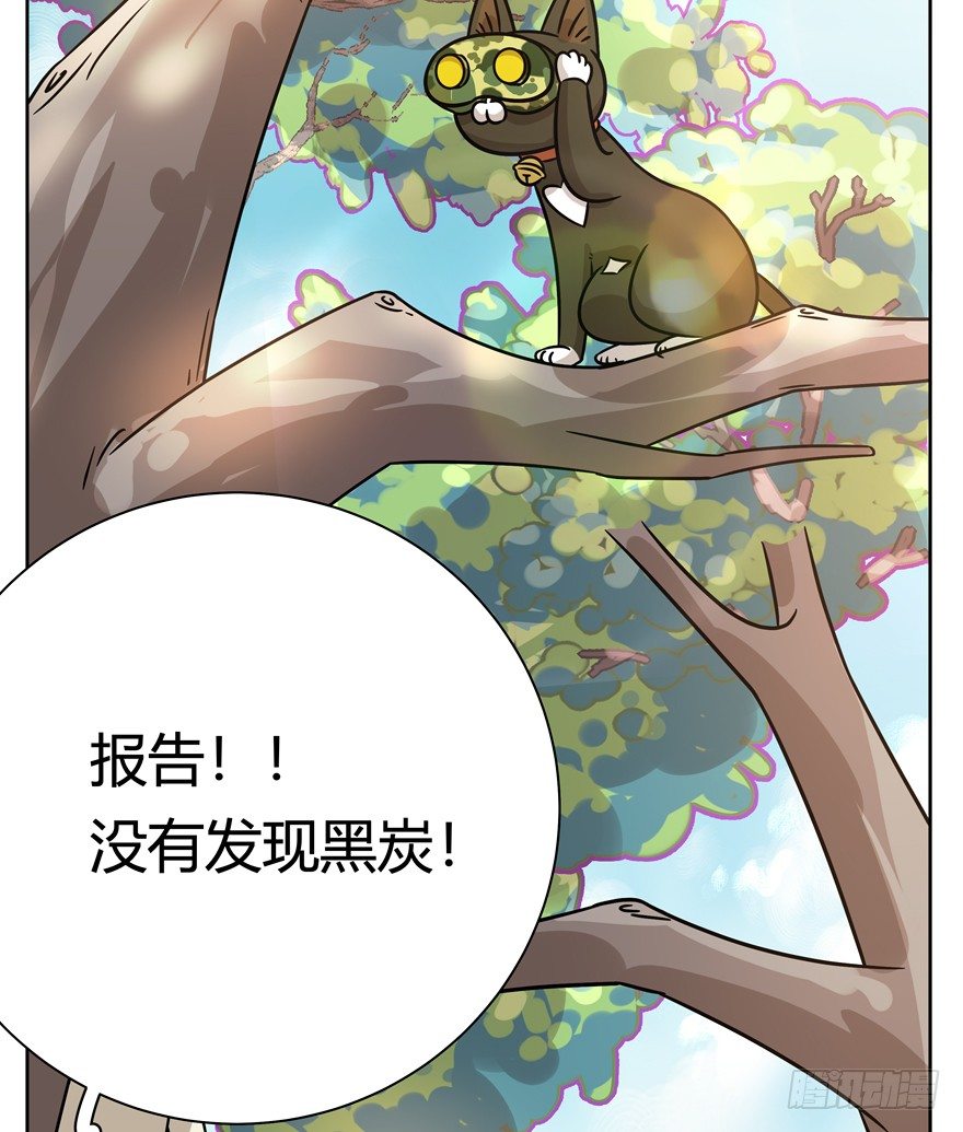 《回到过去变成猫外传》第97爪 告密（上） 第21页