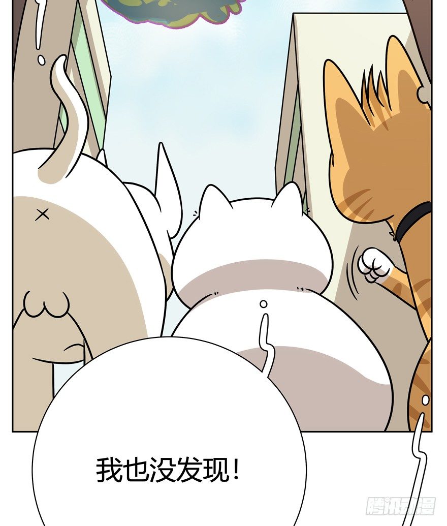 《回到过去变成猫外传》第97爪 告密（上） 第22页