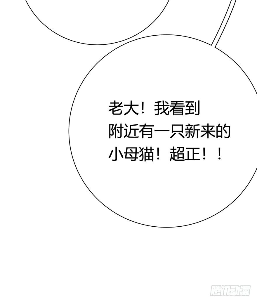 《回到过去变成猫外传》第97爪 告密（上） 第23页