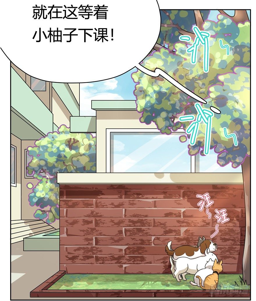 《回到过去变成猫外传》第97爪 告密（上） 第26页