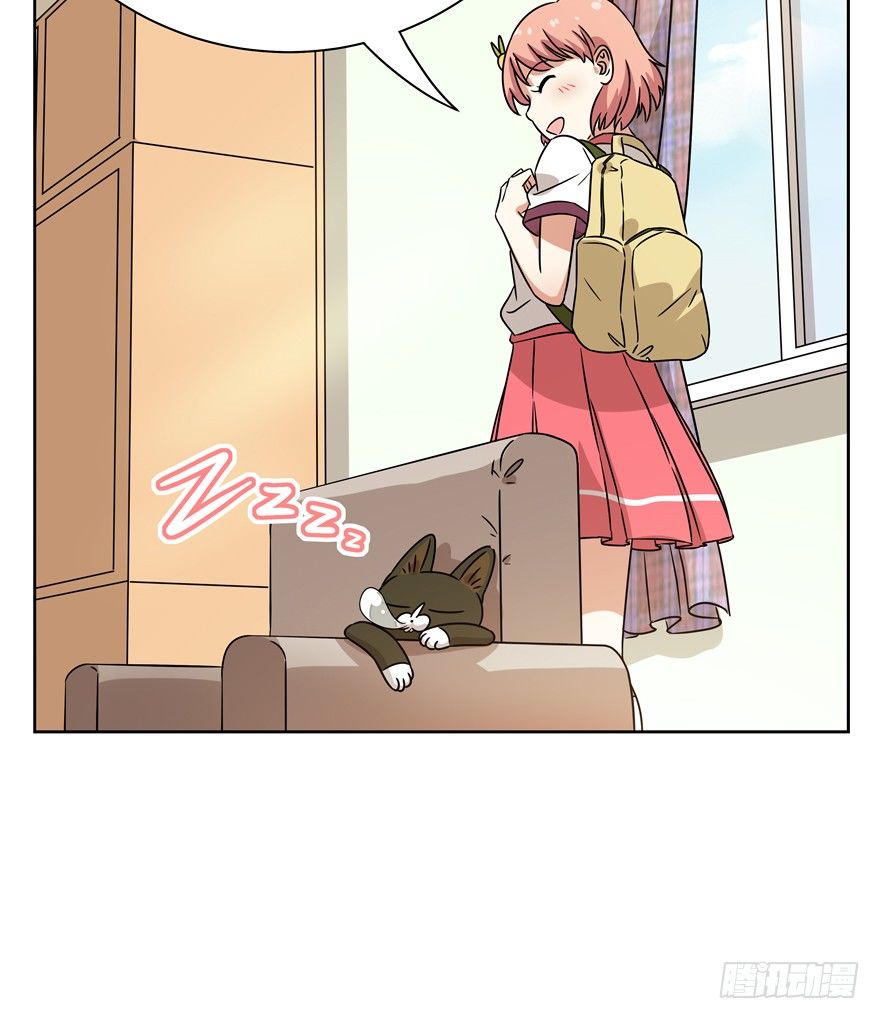 《回到过去变成猫外传》第97爪 告密（上） 第6页