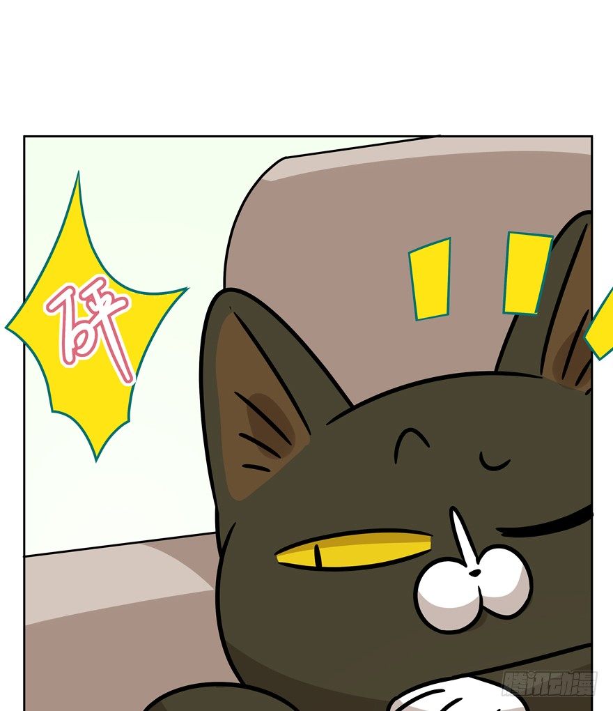 《回到过去变成猫外传》第97爪 告密（上） 第7页