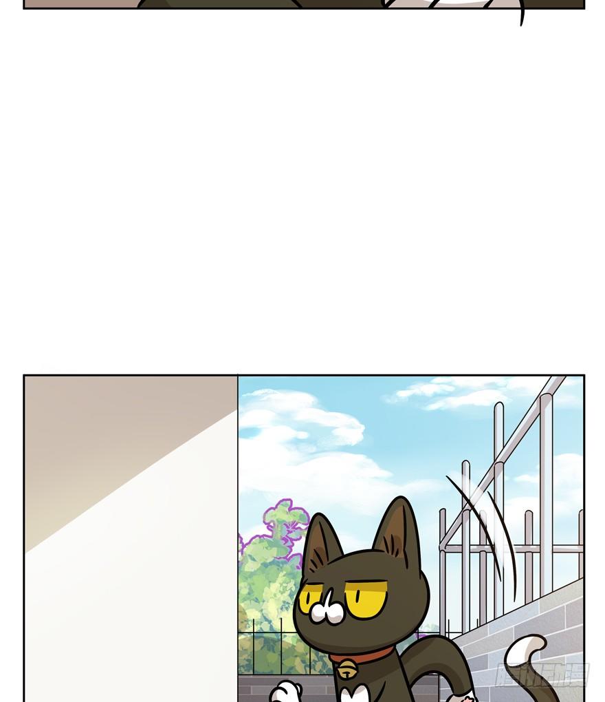 《回到过去变成猫外传》第97爪 告密（上） 第8页