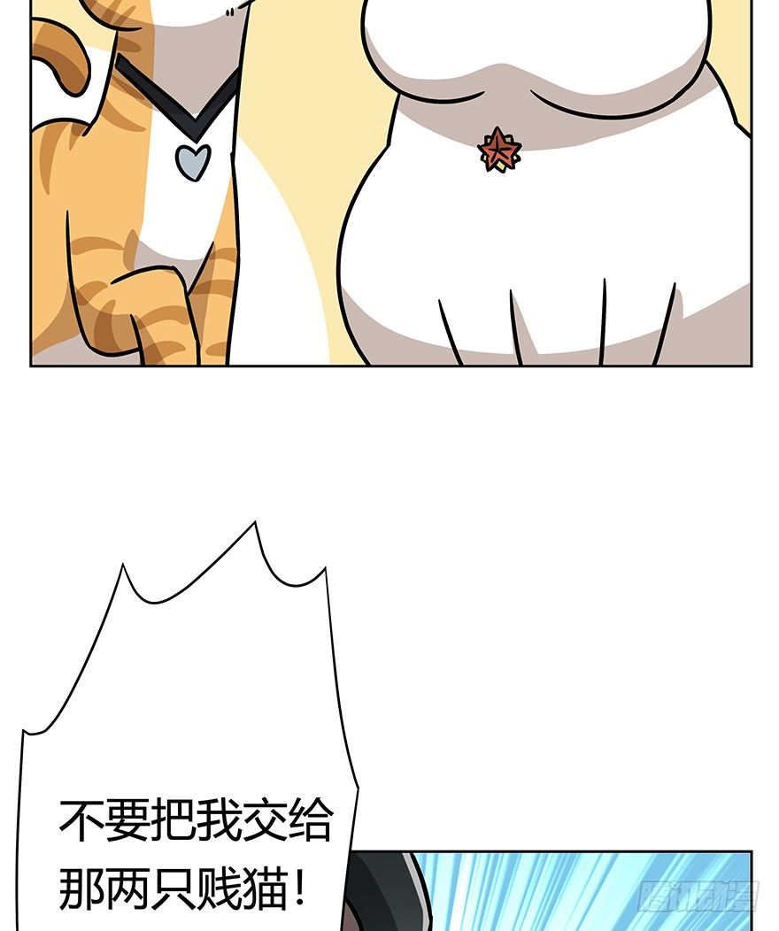 《回到过去变成猫外传》第96爪 猫鼠联盟 第13页
