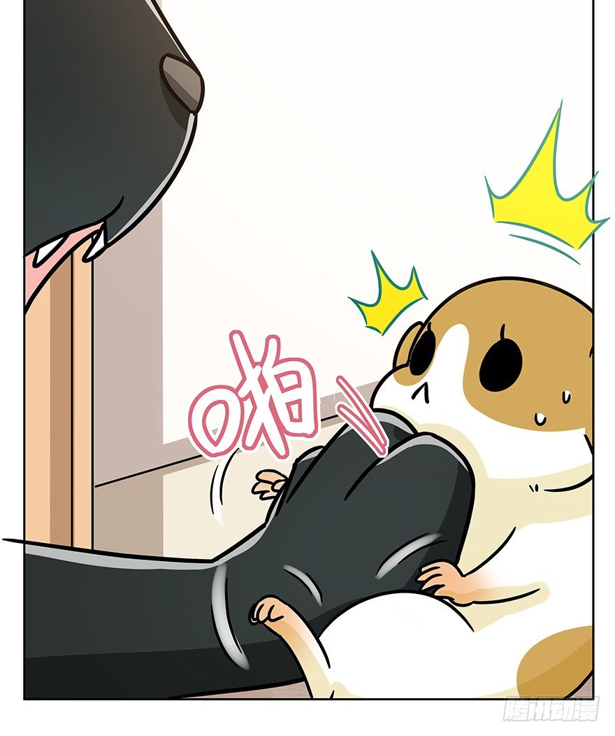 《回到过去变成猫外传》第96爪 猫鼠联盟 第16页